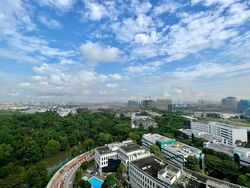 Normanton Park (D5), Apartment #473798311